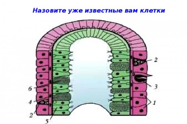 Ссылка на кракен даркнет