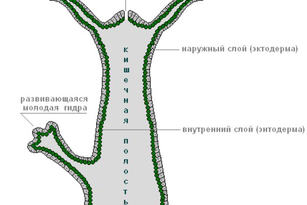 Кракен маркетплейс ссылка телеграмм