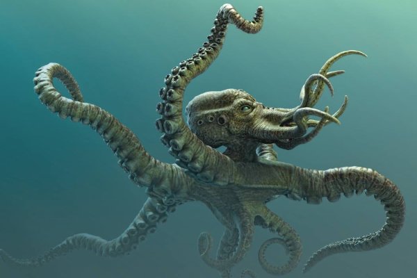 Настоящий сайт kraken