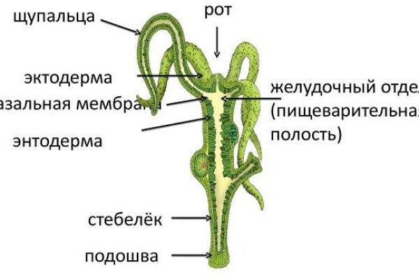 Кракен даркнет площадка kraken 11 store